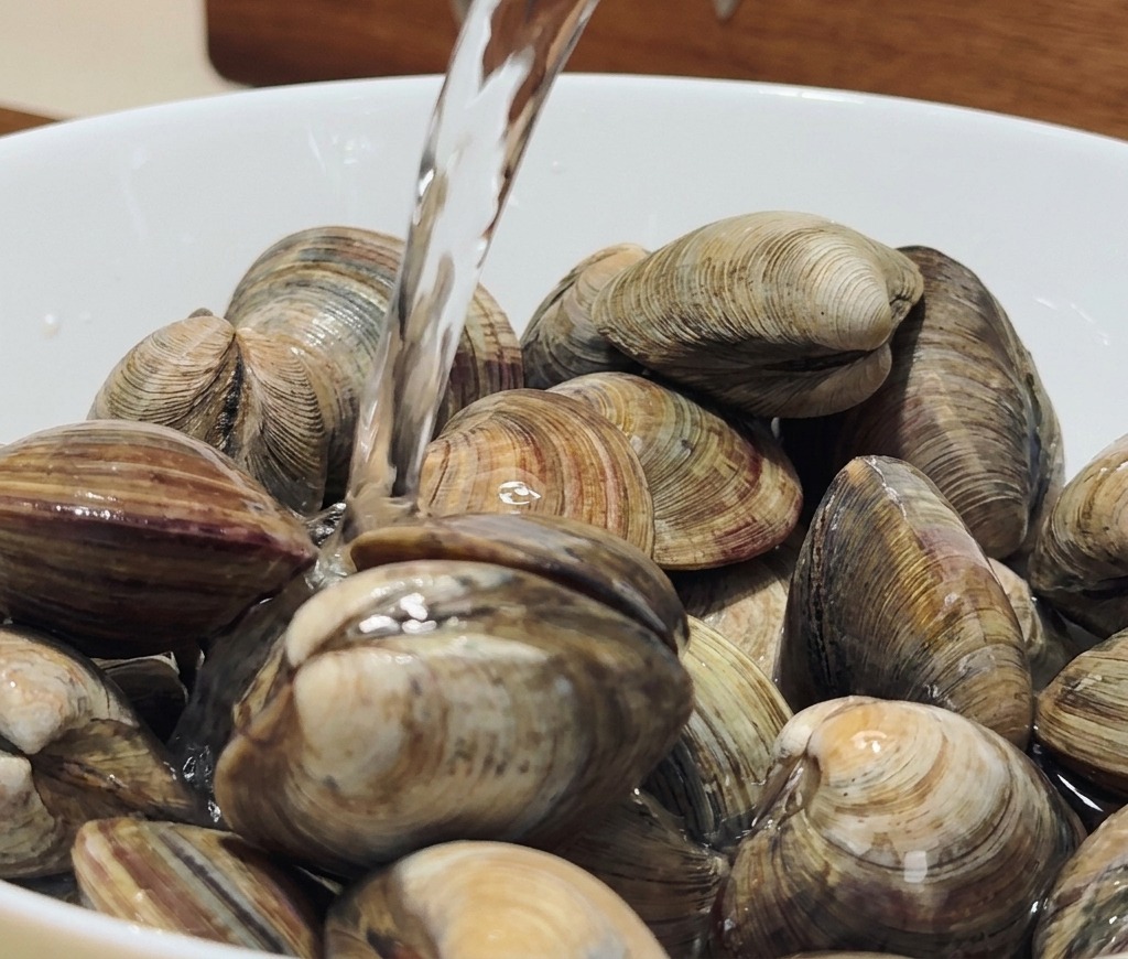 Dettaglio di vongole veraci in una ciotola bianca sotto un getto dacqua fresca per la spurgatura.