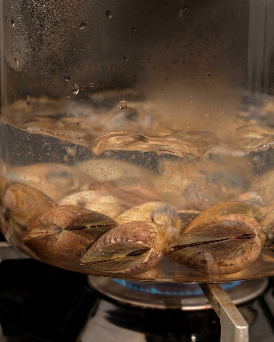Vongole fresche immerse in acqua bollente dentro una pentola di vetro su un fornello a gas.