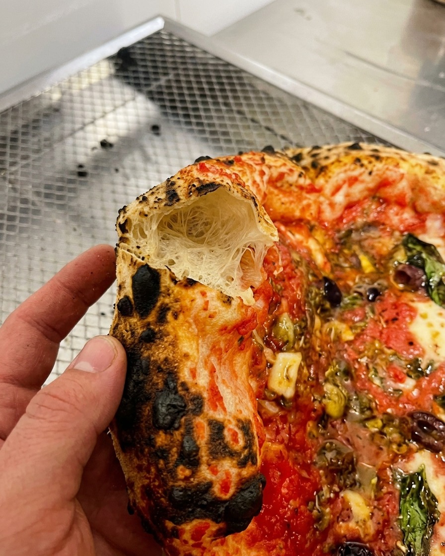Primo piano di una mano che tiene un pezzo di cornicione spezzato per mostrare linterno arioso e a ragnatela.