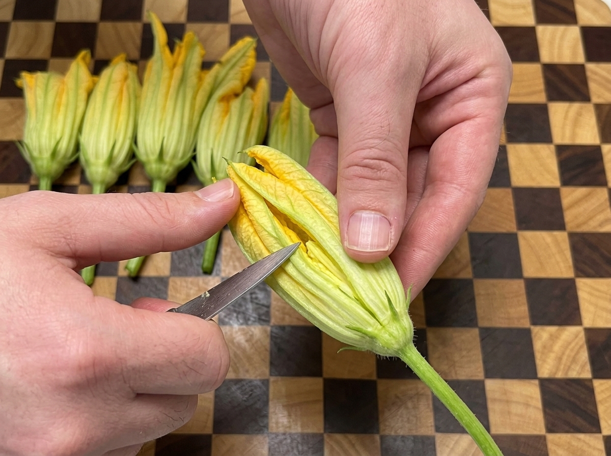 Mani che tengono un fiore di zucca giallo effettuando un taglio longitudinale con un piccolo coltello.