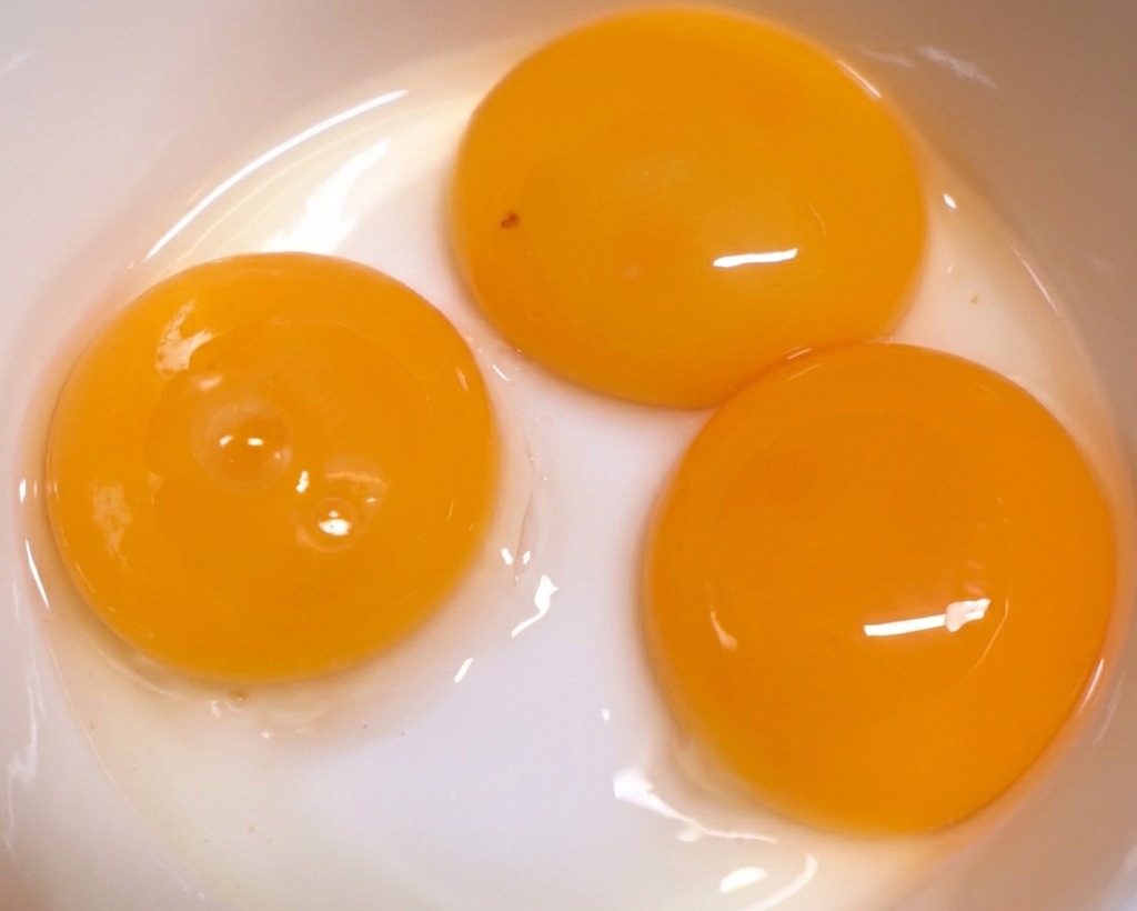 Tre tuorli dal colore arancione intenso in una ciotola di ceramica bianca, pronti per essere sbattuti.