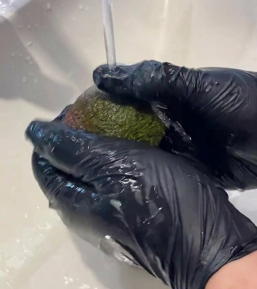 Un avocado tagliato a metà col nocciolo rimosso su un tagliere di legno.