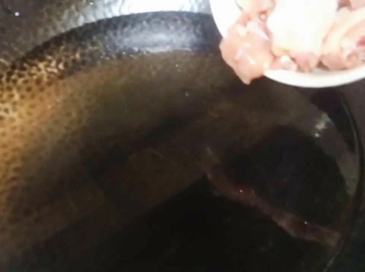 Pezzi di pollo crudo versati da un piatto bianco in un wok pieno di acqua fredda.