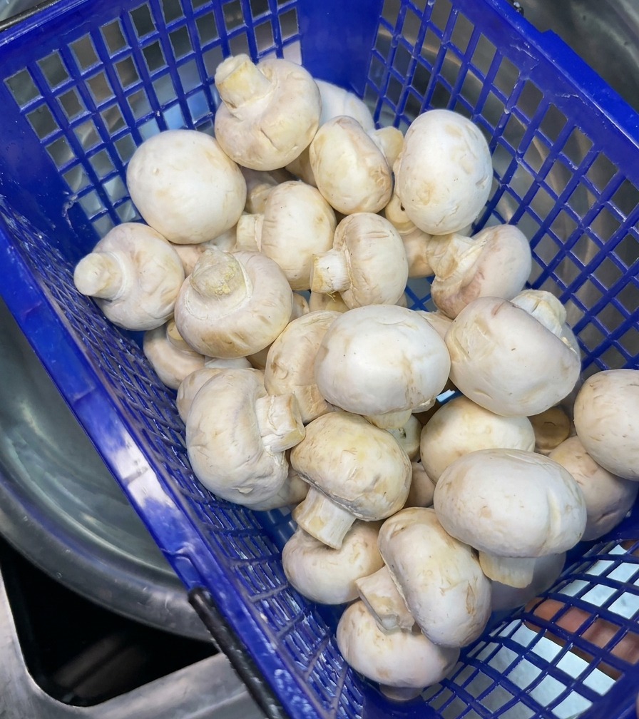 Un cestino di plastica blu pieno di funghi champignon bianchi freschi pronti per essere lavati.