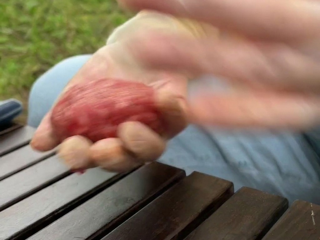 Mani guantate in movimento che si passano e sbattono una palla di carne macinata cruda.