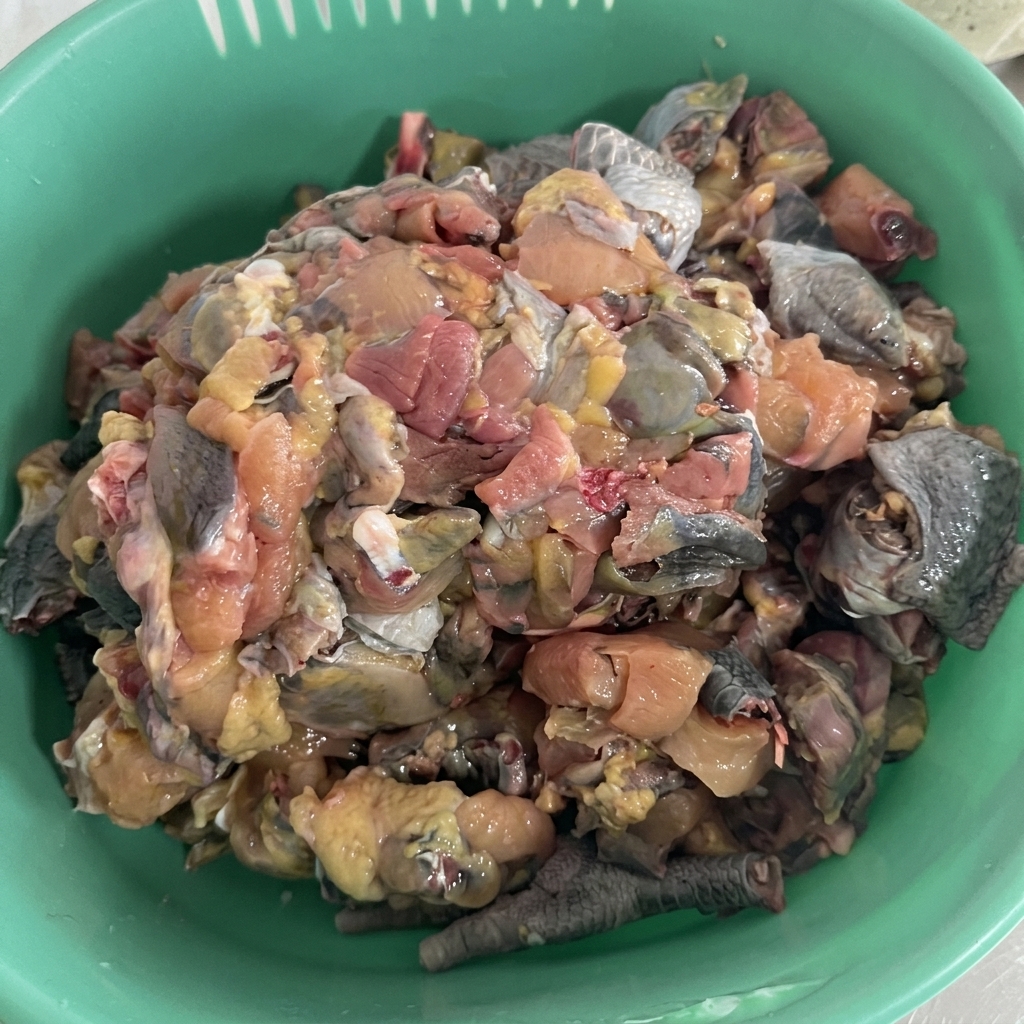 Un cestino di plastica verde pieno di pezzi di pollo moroseta crudo appena tagliato, che mostra la sua caratteristica pelle scura.