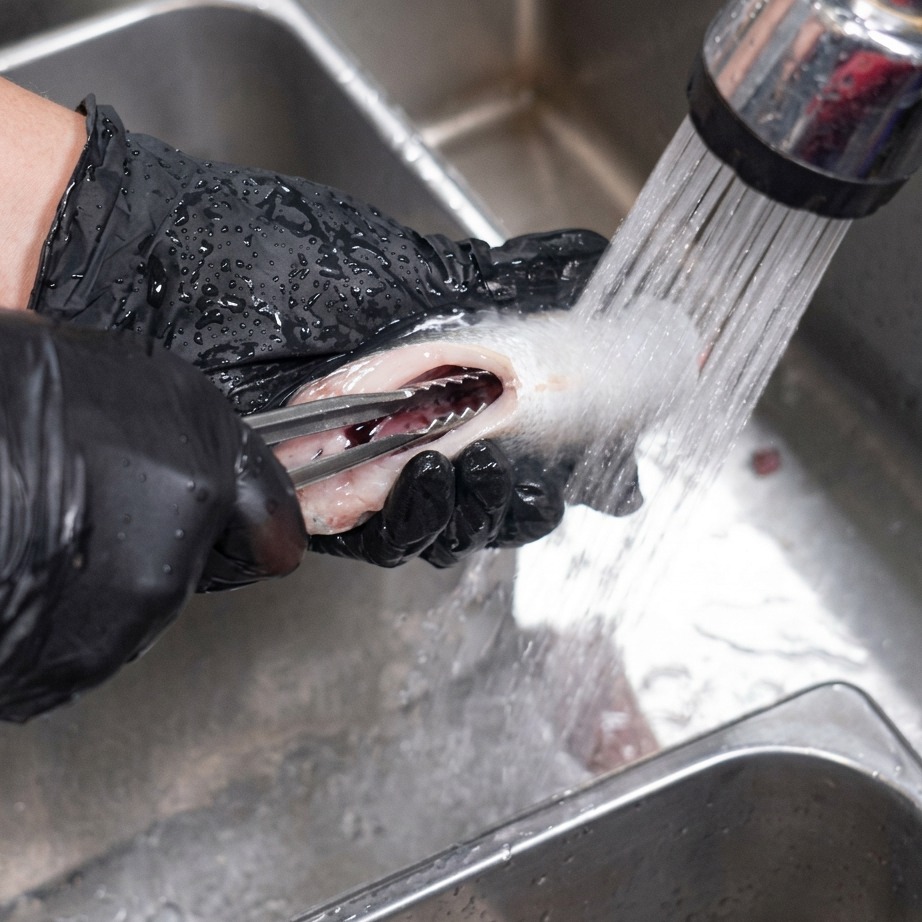Pulizia dellinterno di un pezzo di sgombro con le pinze sotto il rubinetto della cucina.