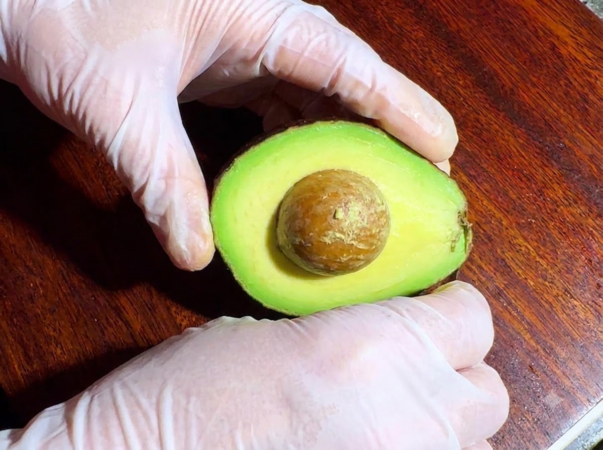 Un avocado tagliato a metà che mostra il nocciolo, tenuto da mani con guanti su un tagliere di legno.