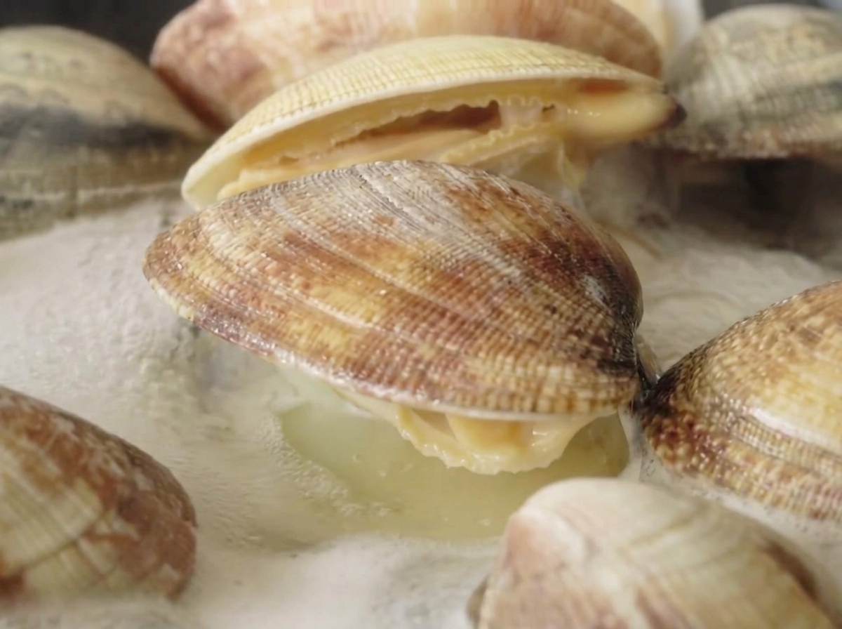 Vongole fresche in ebollizione in una pentola dacqua, con diversi gusci visibilmente aperti.
