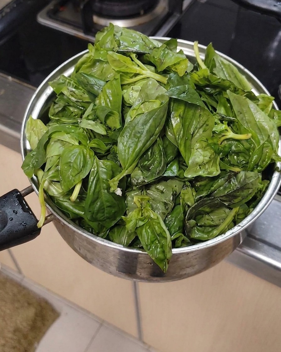 Foglie di basilico fresche e pulite raccolte insieme in una pentola di metallo.