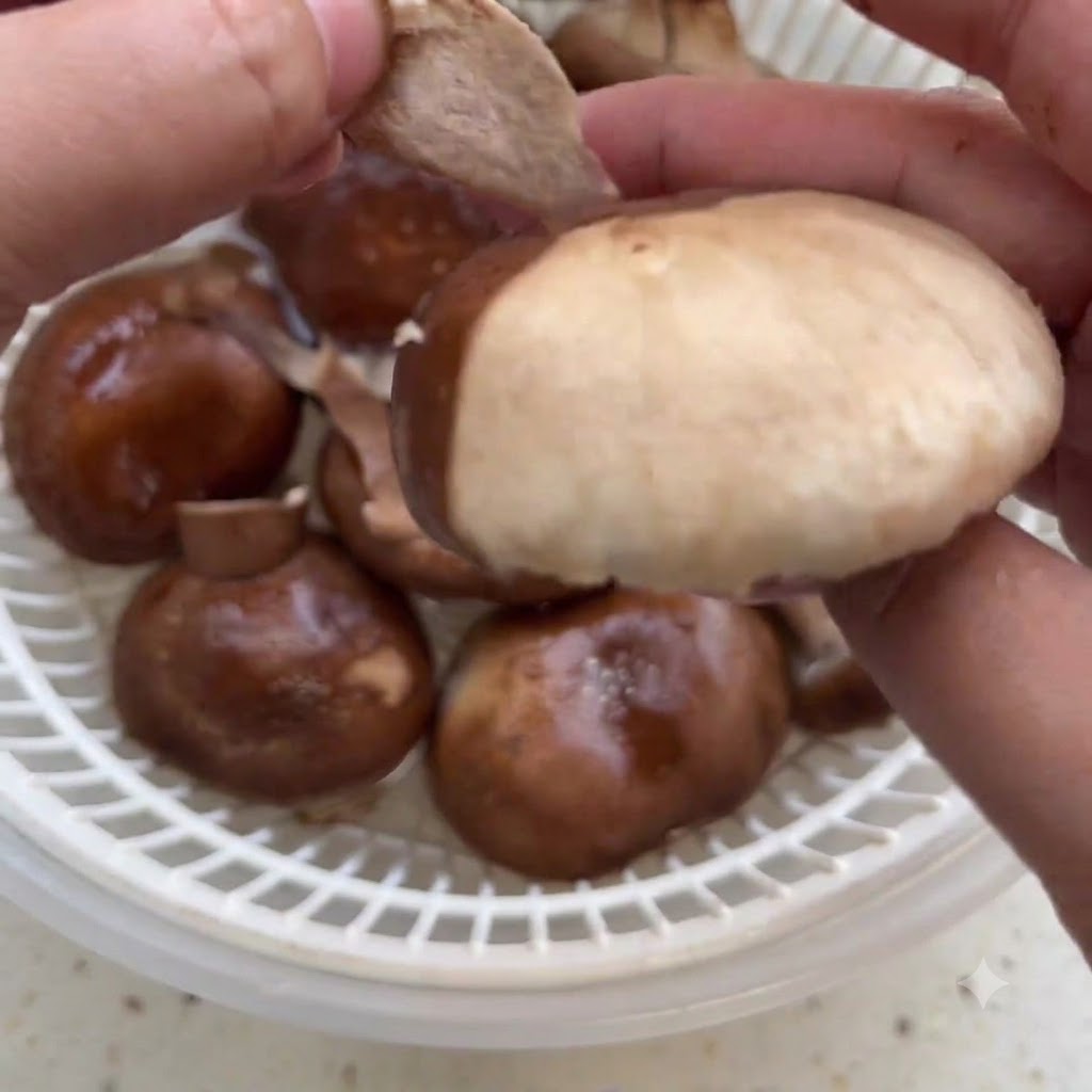 Mani che pelano lo strato esterno di un fungo shiitake fresco sopra un colino.