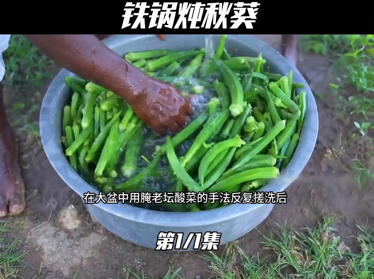 Okra verde cruda che viene lavata accuratamente con acqua allinterno di una grande bacinella di metallo.