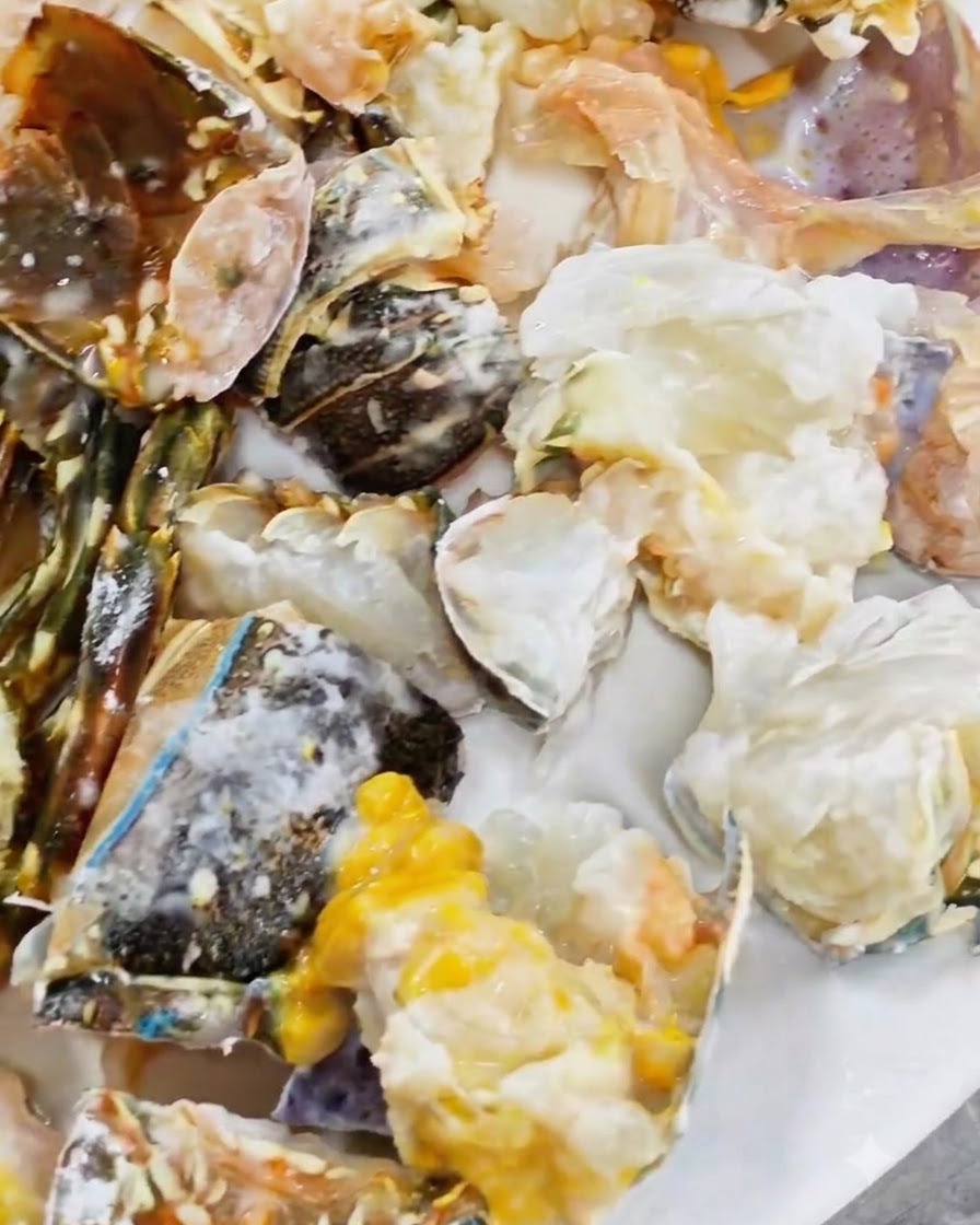 Pezzi di aragosta cruda e tagliata spolverati di amido di mais bianco su un piatto.